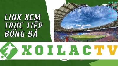 Xoilac-tv.media - Trải nghiệm mới mẻ của cộng đồng bóng đá